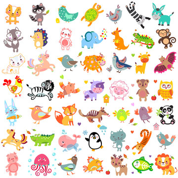 Vector illustration of cute animals and birds. Set of cute animals