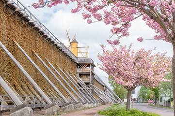 spa garden and graduation house