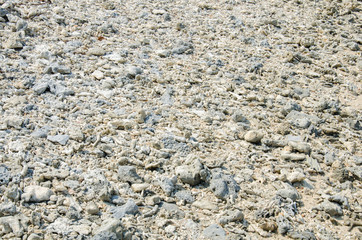 Scrap coral on beach