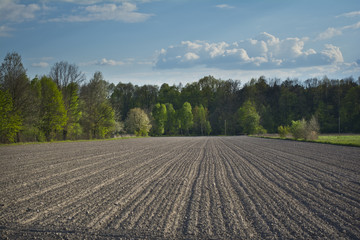 Agricultural landscape with a plowed field.