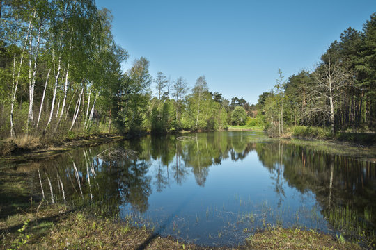 Small lake in the forest - Otwock, Poland.