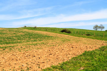 Farmland © lemanieh