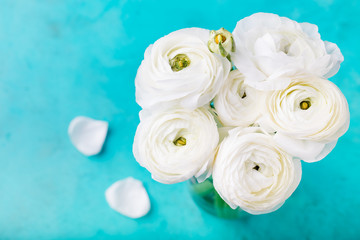 Fototapeta na wymiar White ranunculus flowers Blue background