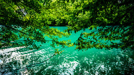 Fototapeta na wymiar view of beautiful lake in the forest