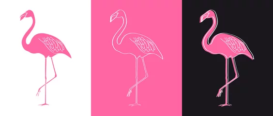 Foto auf Acrylglas Flamingo Vektor-Flamingo-Illustration