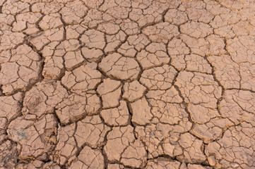 Dry land