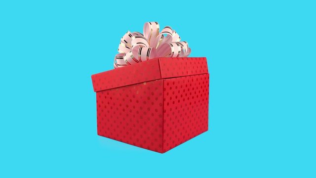 Happy birthday present surprise, present box with cute funny hedgehog