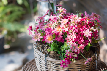 Colorful flower in the Basket