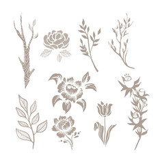 Hand Drawn Plant Monochrome Set