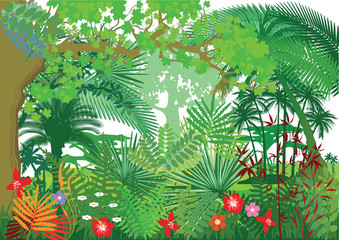 Obraz premium Regenwald Jungle