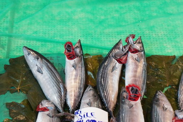 Pesce al mercato