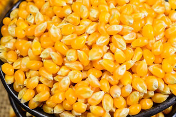 Dried corn in black ceramic bowl on wooden table