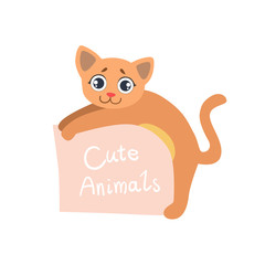 Cat With The Template For The Message