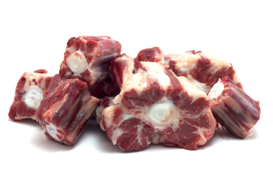 coda di bovino adulto