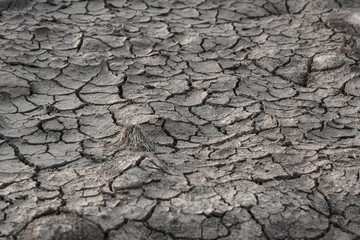 Cracked ground