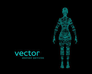 Vector illustration of female body