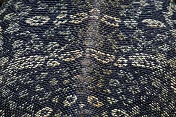 the texture of life Monitor lizard skin