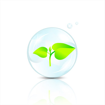 Transparent ball with green sprout inside