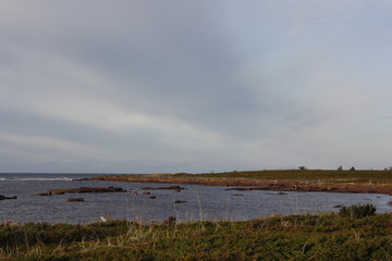 Берег северного моря.