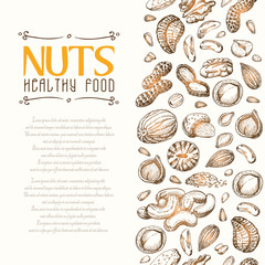 Vector background with nuts arranged vertically