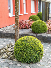 Vorgartengestaltung