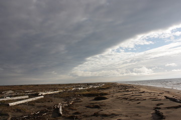 Берег северного моря.