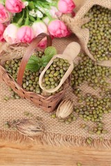Fototapeta na wymiar Green beans dry on wood background.