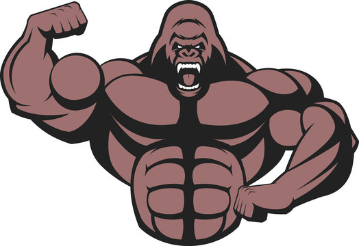 Strong ferocious gorilla