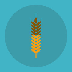 Wheat icon. grain design. Agriculture concept