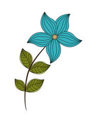 Floral design. garden illustration.  white background