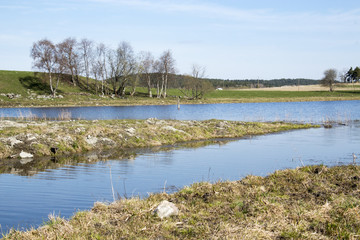 Берег озера © oriolegin11