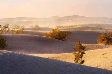 Mesquite Flat Sand Dunes during sand storm, Death Valley National Park, California