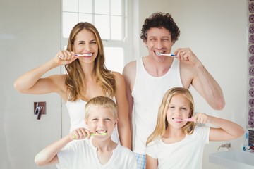 Portrait of smiling family brushing teeth