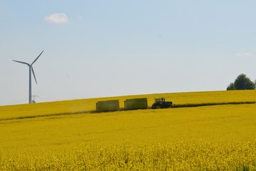Traktor mit H&auml;nger unterwegs auf landwirtschaftlicher Nutzfl&auml;che - Rapsfeld bl&uuml;ht
