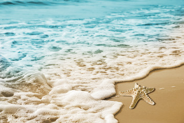 Starfish and soft wave on the sandy beach