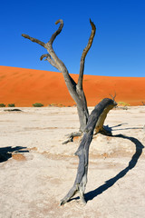 Deadvlei, Sossusvlei. Namibia