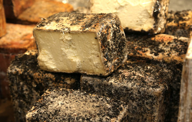 seasoned cheese made with cow's milk for sale