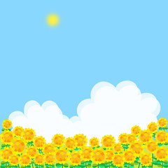 Obraz premium 夏の風景 ひまわり畑