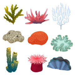 Different kind of cartoon underwater plants and color reef coral icons set. Sea bottom. © lembergvector