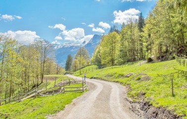 Fototapeta premium Wandern in den Österreichischen Alpen 