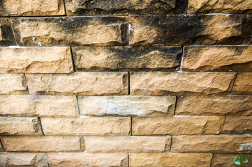 Brick walls are moldy.