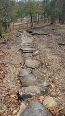 path to hill