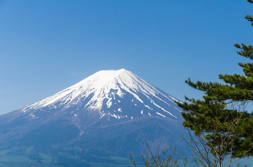 Mount Fuji (Fuji san) in spring