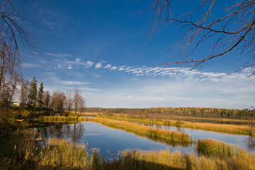 Obraz premium Colorful autumn landscape. Yellow trees. Picture for design in yellow or orange color. Autumn theme