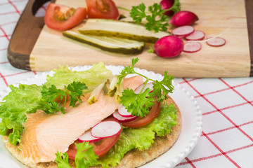 Fresh homemade pita sandwich with hot smoked salmon, letuce and vegetables.
