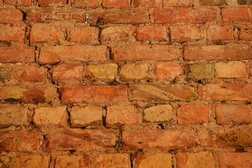 Red brick wall with cement