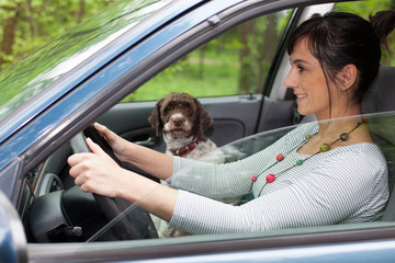 woman driving car with a dog