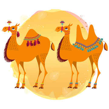 Two camels with traditional decoration.