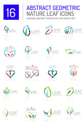 Geometric leaf icon set