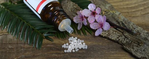 Banner Globuli mit Kirschblüten auf Holz mit Tanne und Rinde